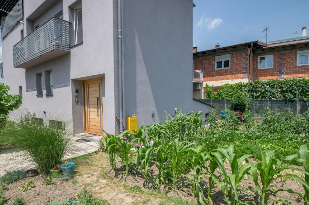 Pomodoro Rooms Zagreb Eksteriør billede