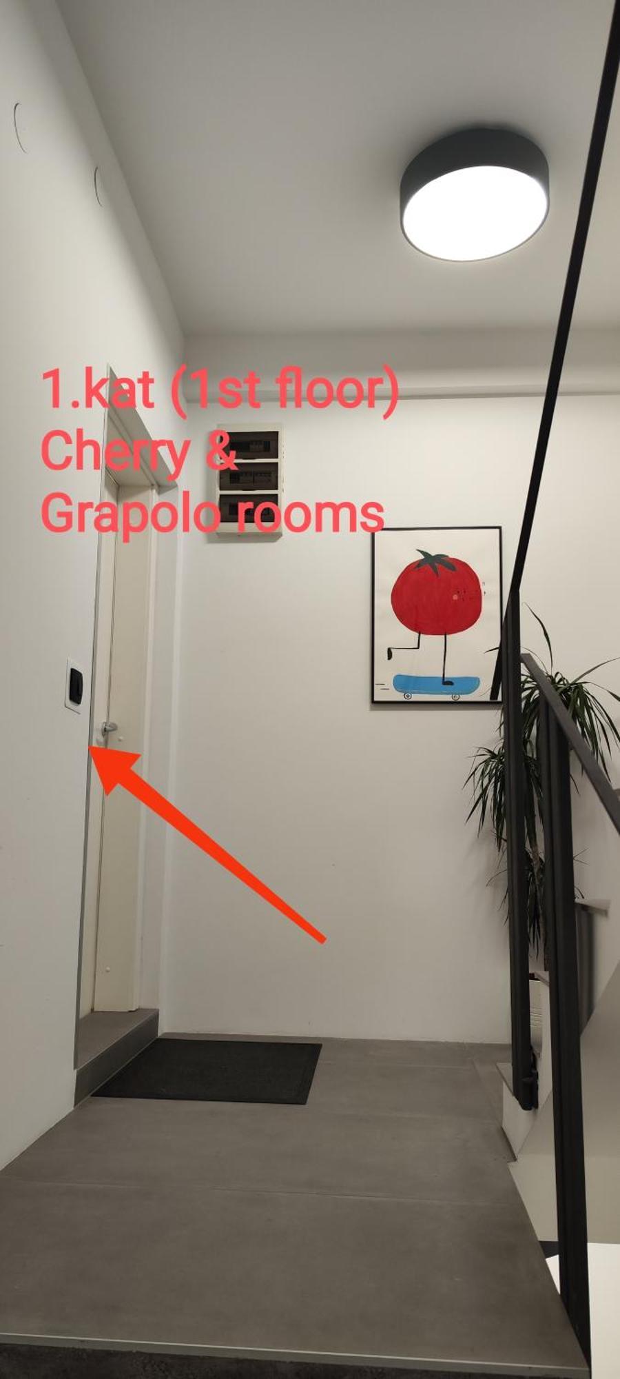 Pomodoro Rooms Zagreb Eksteriør billede